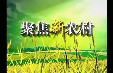 �Ҹ����ٶ�